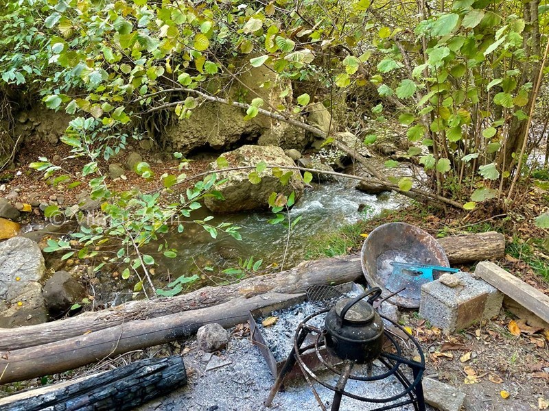 عکس شماره 725133 - اجاره ویلا رامسر جنگل دالخانی - 