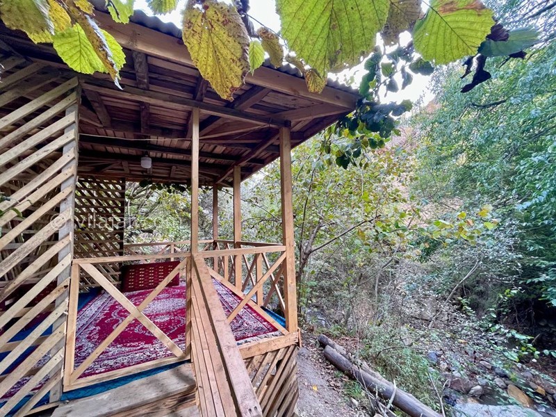 عکس شماره 725134 - اجاره ویلا رامسر جنگل دالخانی - 