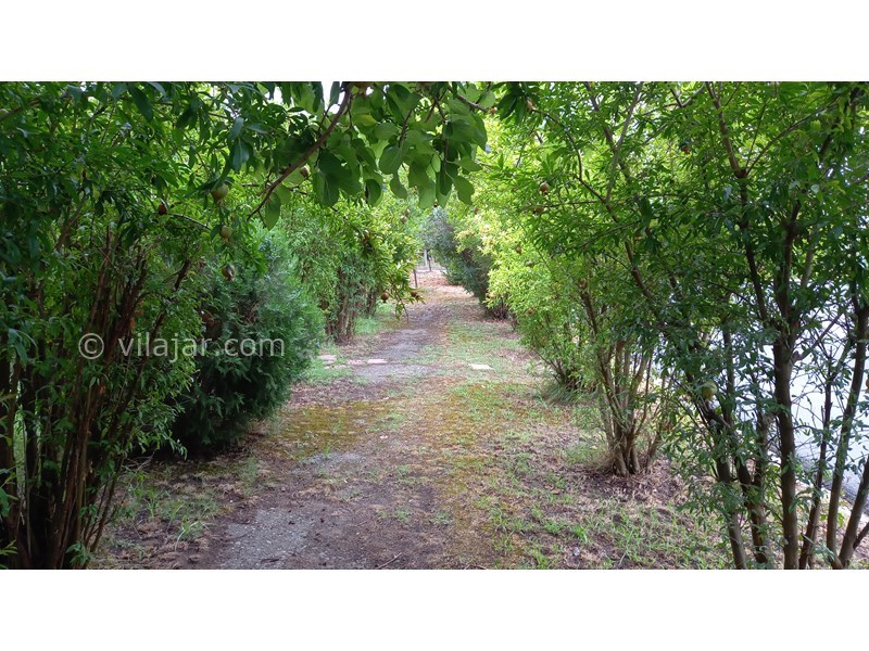 عکس شماره 726566 - اجاره ویلا در شهرک دریاکنار - 