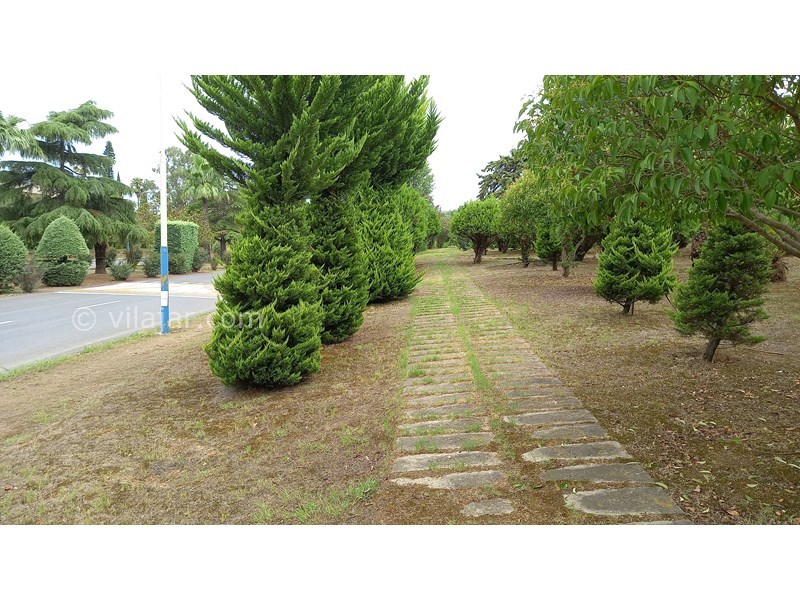 عکس شماره 726581 - اجاره ویلا در شهرک دریاکنار - 