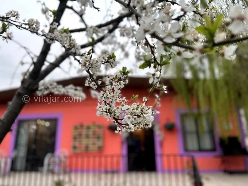 عکس شماره 727542 - ویلا با استخر آبگرم نزدیک کردان - 