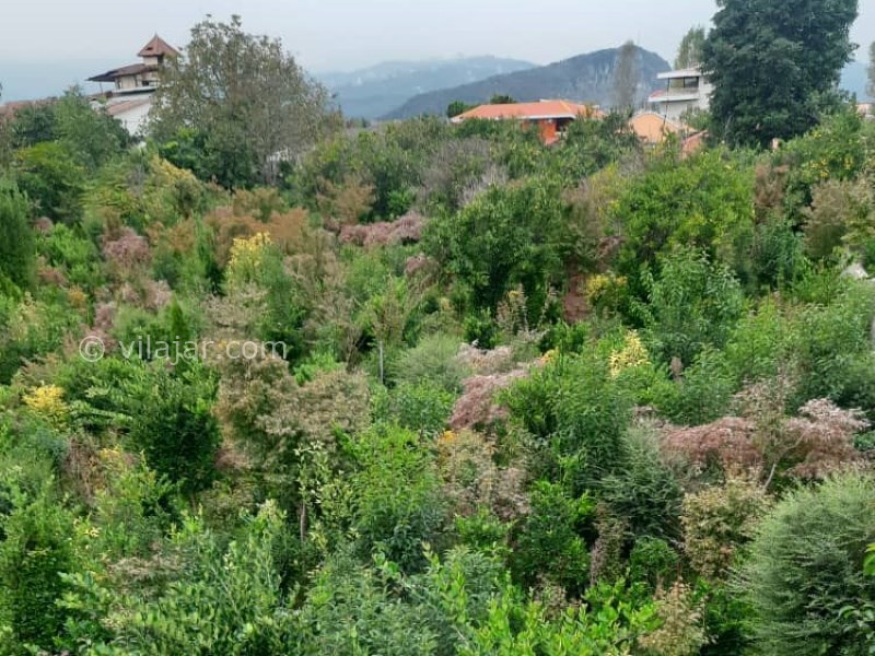 عکس شماره 727555 - ویلا چوبی با بیلیارد و استخر رامسر - 