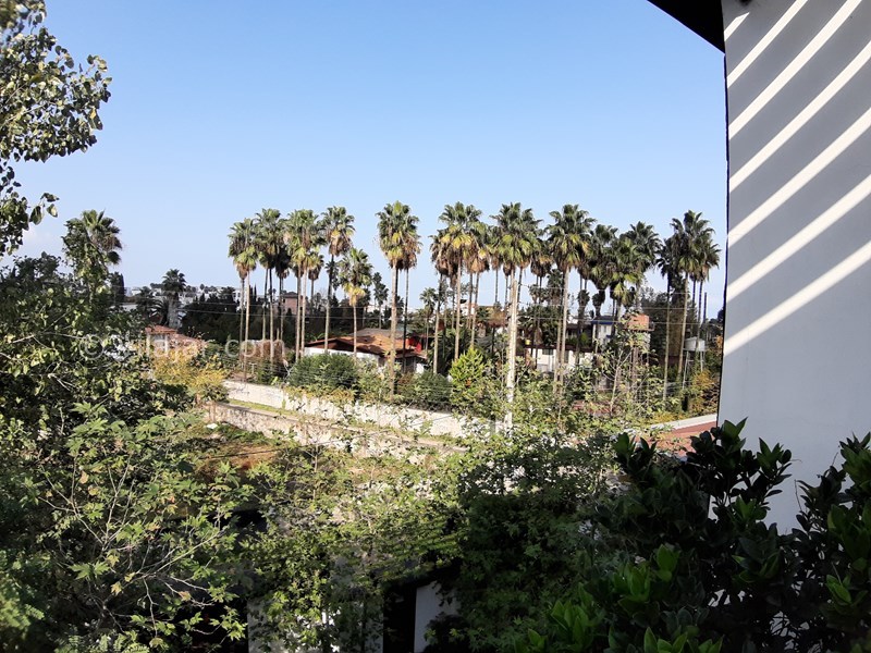 عکس شماره 727875 - رزرو ویلای لوکس استخردار نوشهر - 