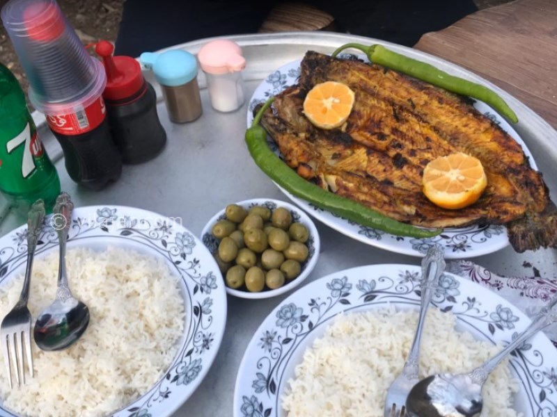 عکس شماره 728690 - اقامتگاه بومگردی باغ فندق جاده 2000 - 