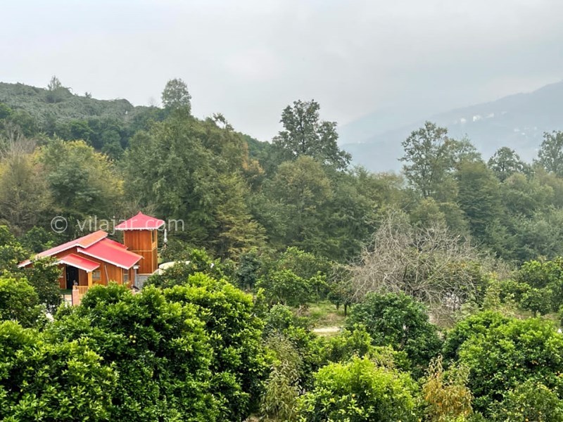 عکس شماره 728905 - کلبه چوبی با استخر روباز آبگرم رامسر - 