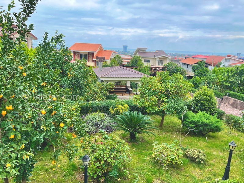 عکس شماره 729187 - اجاره ویلا در رامسر با ویو جنگل - حیاط به همراه محوطه سازی کامل