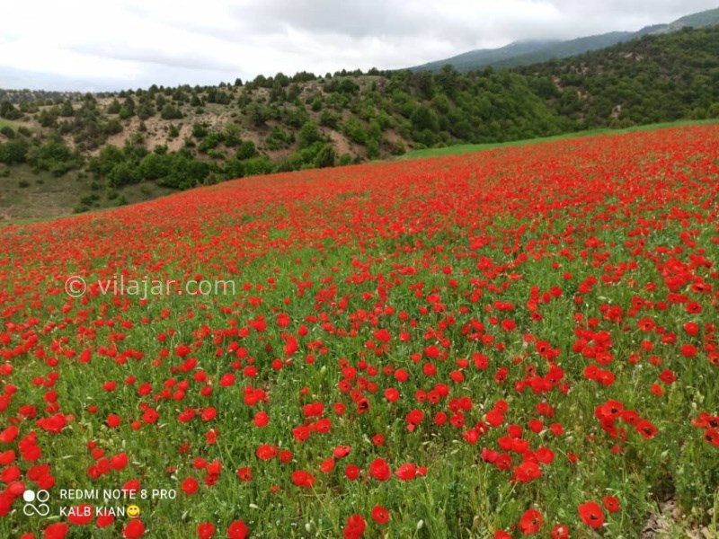 عکس شماره 729679 - اقامتگاه بوم گردی وامنان -