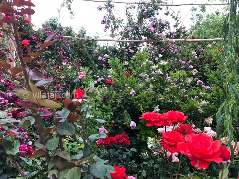 عکس شماره 730162 - اقامتگاه بومگردی سرای جهانگردی - 