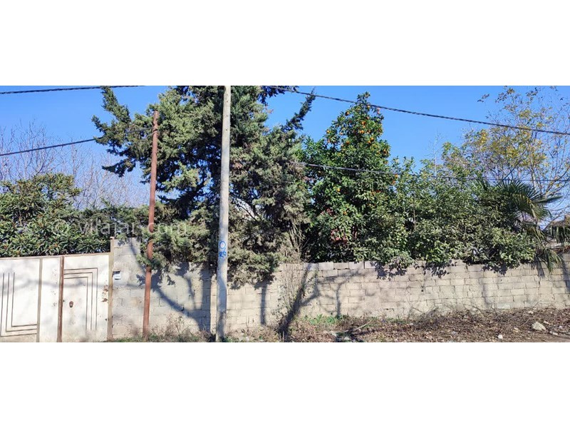 عکس شماره 731995 - اجاره ویلا در ماسال - نمای روبروی ویلا