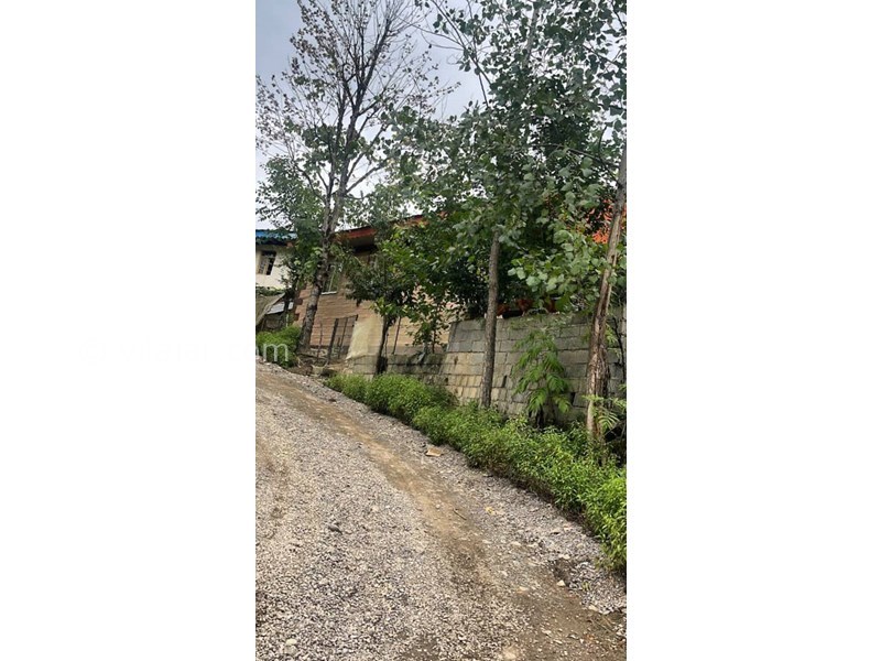 عکس شماره 732289 - اجاره ویلا جنگلی نزدیک شفت - 