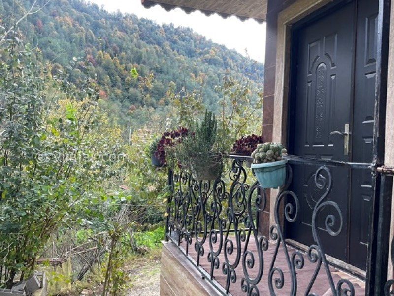 عکس شماره 732648 - اجاره ویلا جنگلی نزدیک شفت - 