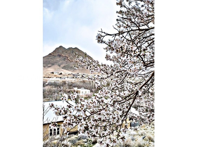 عکس شماره 732722 - اقامتگاه بومگردی سرای آرامش VIP - 