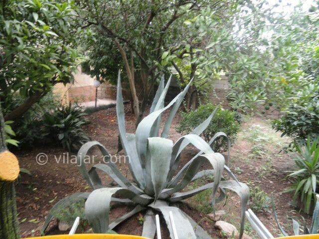 عکس شماره 73375 - اجاره ویلا شمال نزدیک ساحل - 