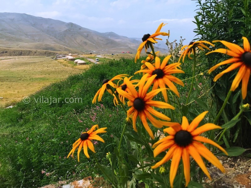 عکس شماره 735967 - اقامتگاه بومگردی اکوکمپ دورنا - 