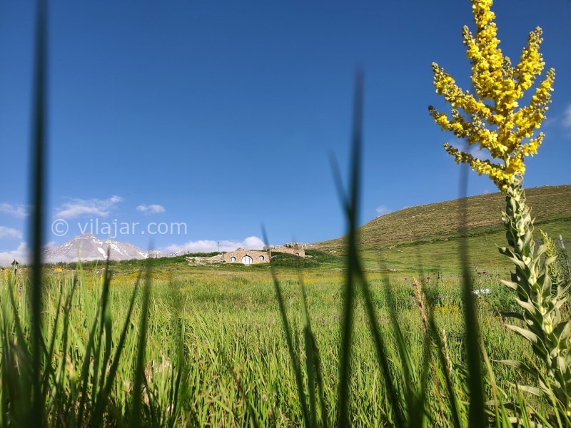 عکس شماره 735977 - اقامتگاه بومگردی اکوکمپ دورنا - 