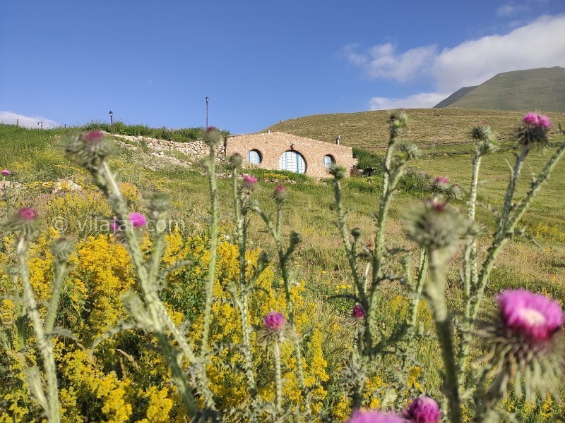 عکس شماره 735979 - اقامتگاه بومگردی اکوکمپ دورنا - 