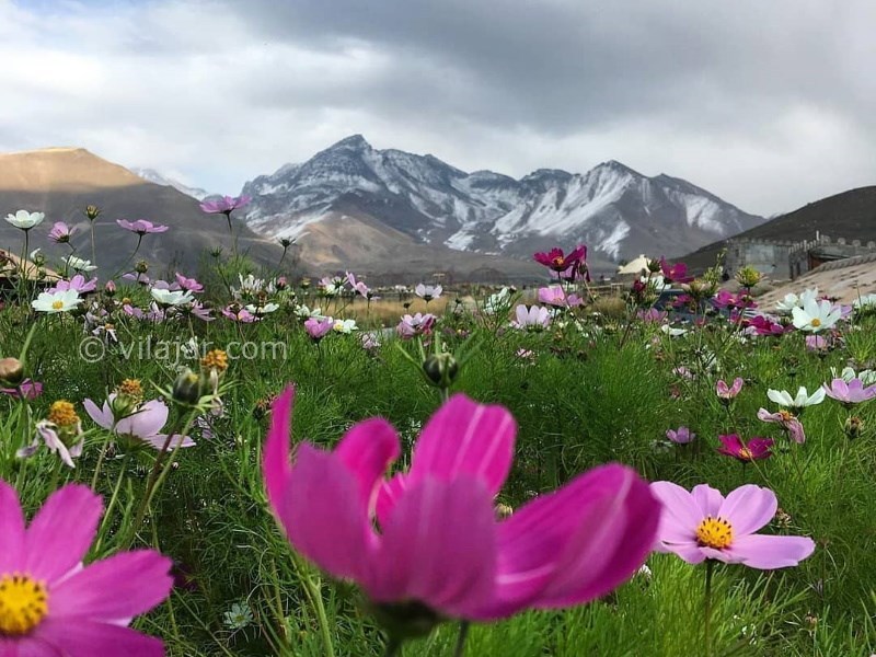 عکس شماره 736023 - اقامتگاه بومگردی اکوکمپ دورنا - 
