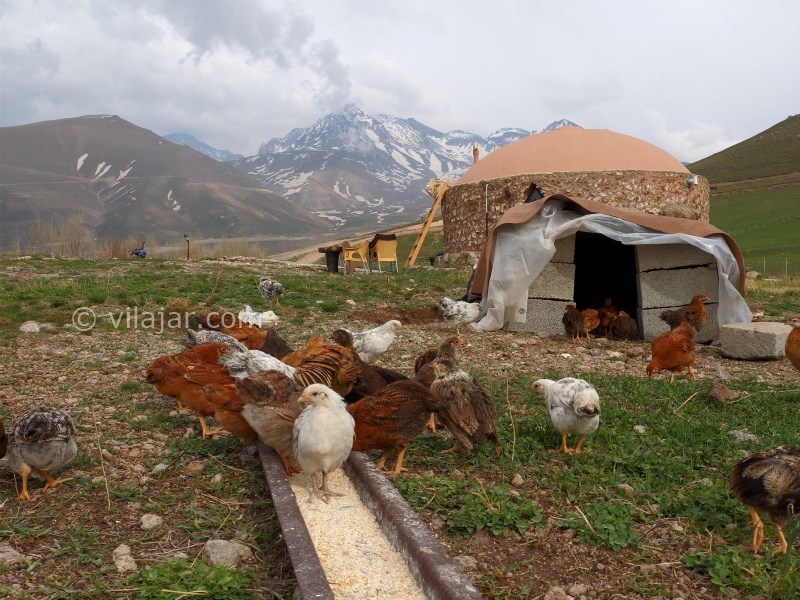 عکس شماره 736080 - اقامتگاه بومگردی اکوکمپ دورنا - 