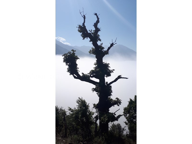 عکس شماره 736413 - اقامتگاه بوم گردی نسا - 