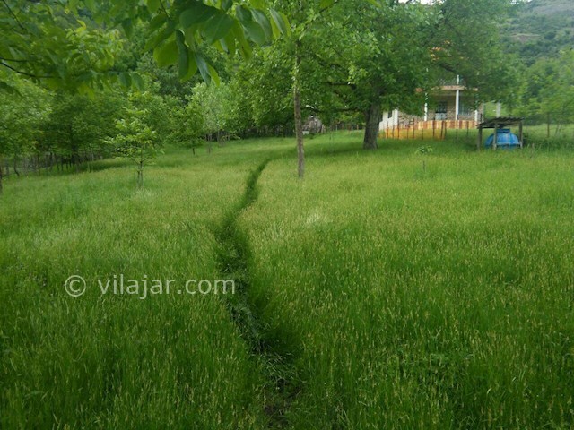 عکس شماره 73649 - اجاره ویلای جنگلی در تالش - 