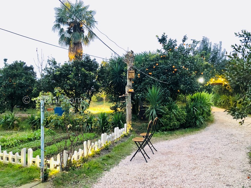 عکس شماره 736749 - اجاره ویلا باغ در تالش لیسار -