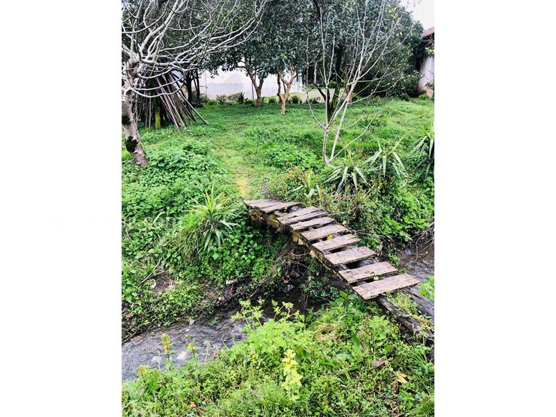 عکس شماره 736751 - اجاره ویلا باغ در تالش لیسار -