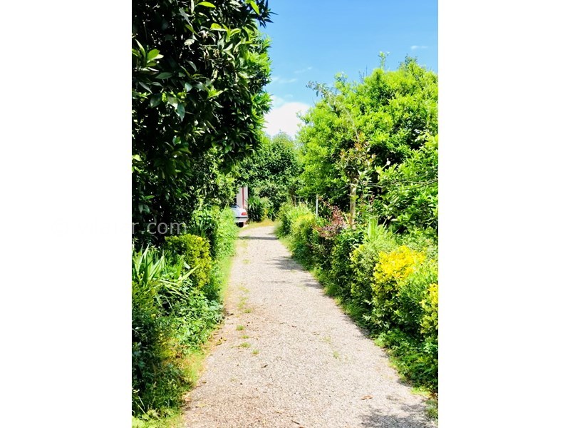 عکس شماره 736758 - اجاره ویلا باغ در تالش لیسار -