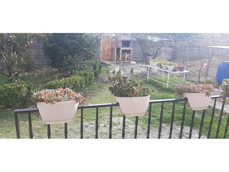 عکس شماره 738229 - اجاره ویلا استخردار در تالش - 