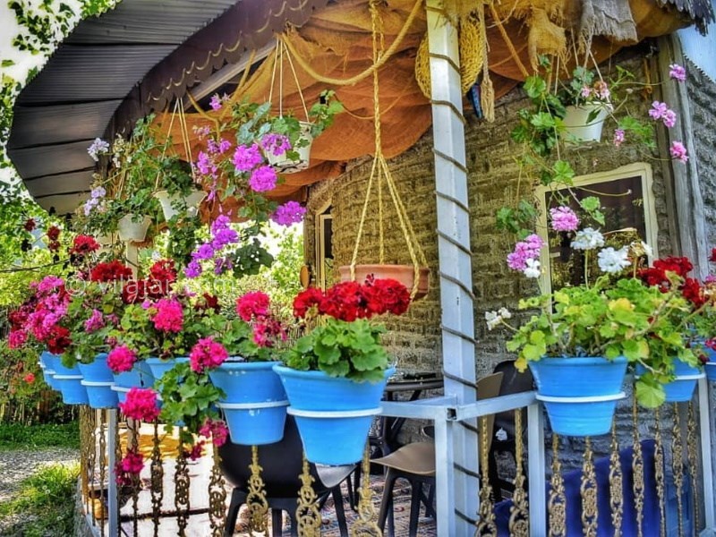 عکس شماره 738553 - اجاره ویلا جنگلی در ماسال - 