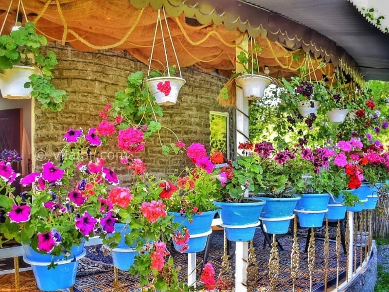 عکس شماره 738556 - اجاره ویلا جنگلی در ماسال - 