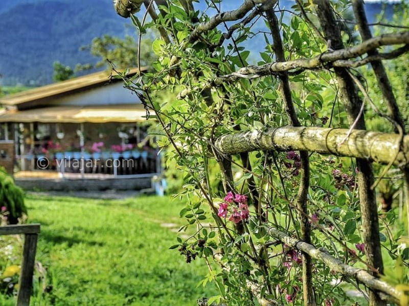 عکس شماره 738557 - اجاره ویلا جنگلی در ماسال - 