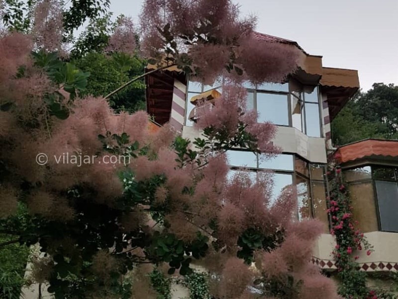 عکس شماره 739294 - اجاره ویلا جنگلی لاهیجان - 