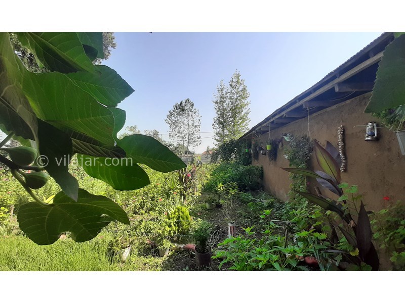 عکس شماره 741155 - اجاره ویلای روستایی در ماسال - 