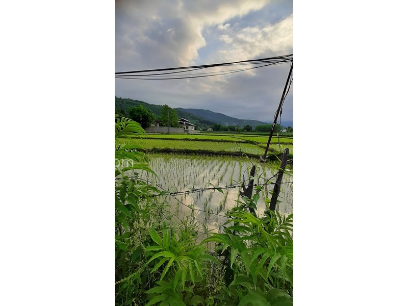 عکس شماره 741165 - اجاره ویلا باغ جنگلی در ماسال - 