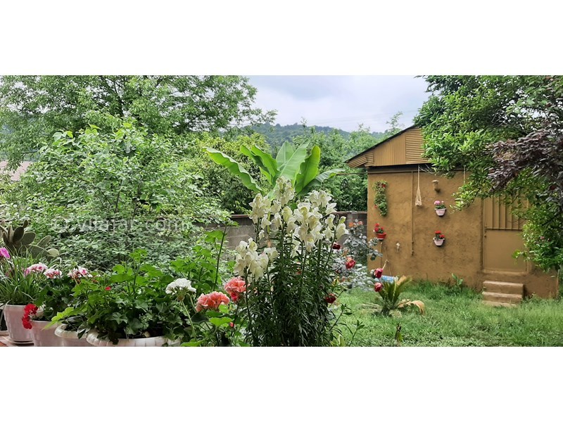 عکس شماره 741166 - اجاره ویلا باغ جنگلی در ماسال - 