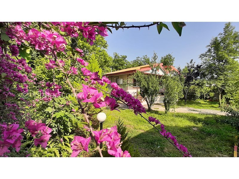 عکس شماره 741167 - اجاره ویلا باغ جنگلی در ماسال - 