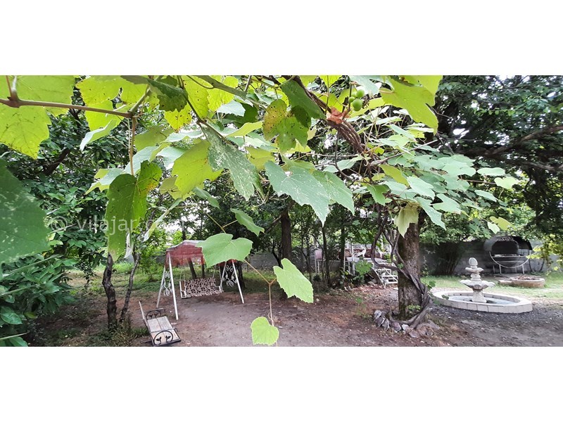 عکس شماره 741170 - اجاره ویلا باغ جنگلی در ماسال - 