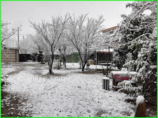 عکس شماره 74155 - اجاره ویلا در قلعه رودخان - 