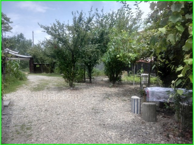 عکس شماره 74159 - اجاره ویلا در قلعه رودخان - 