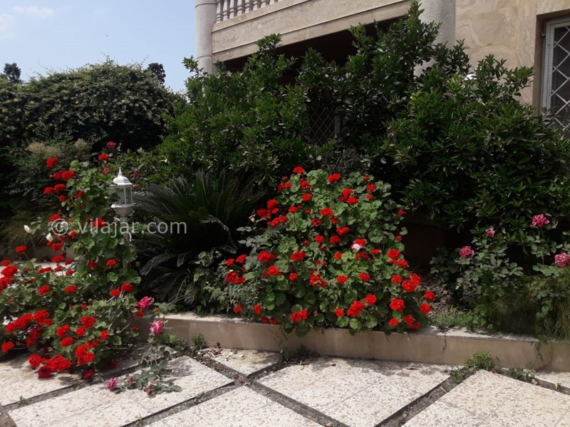 عکس شماره 741908 - اجاره ویلا در کلارآباد -