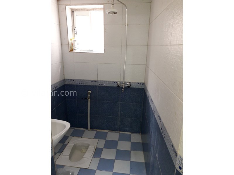 عکس شماره 742264 - اجاره ویلا باغ در لنگرود - 