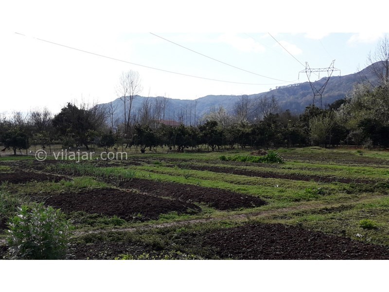 عکس شماره 742268 - اجاره ویلا باغ در لنگرود - 