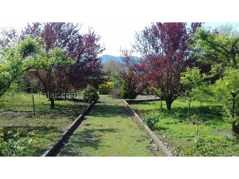 عکس شماره 742269 - اجاره ویلا باغ در لنگرود - 