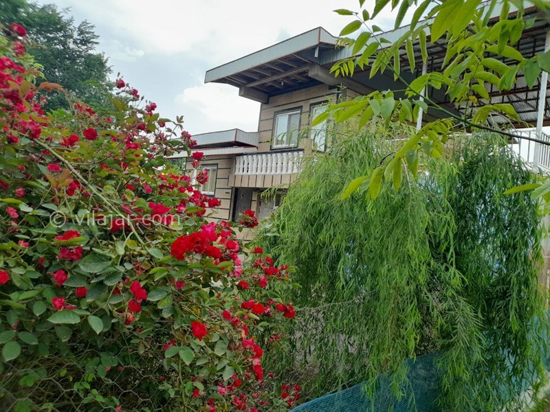 عکس شماره 743063 - ویلای اجاره ای در ماسال - 