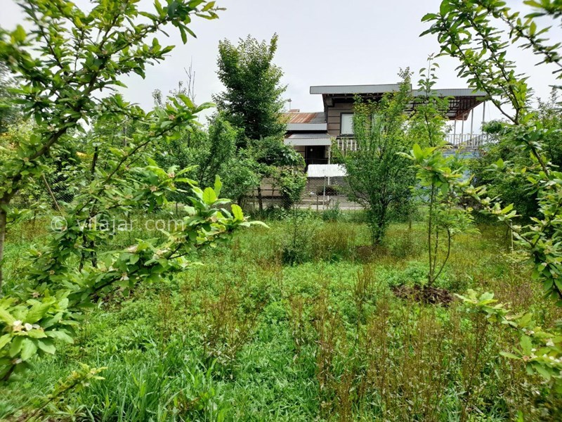 عکس شماره 743073 - ویلای اجاره ای در ماسال - 