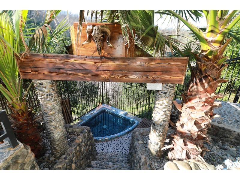 عکس شماره 744317 - ویلا جنگلی رامسر با سونا و جکوزی - 