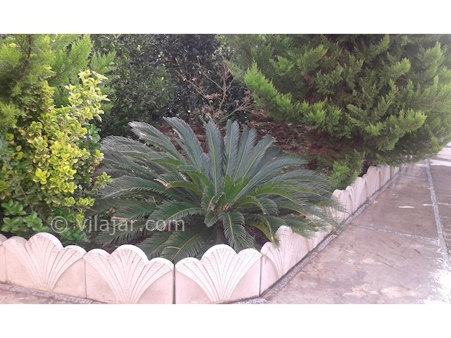 عکس شماره 74463 - اجاره واحد سادات محله رامسر - 