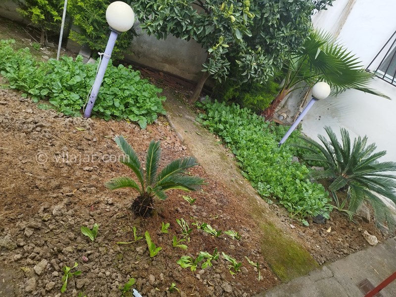 عکس شماره 744886 - اجاره ویلا در سرخرود محمودآباد -