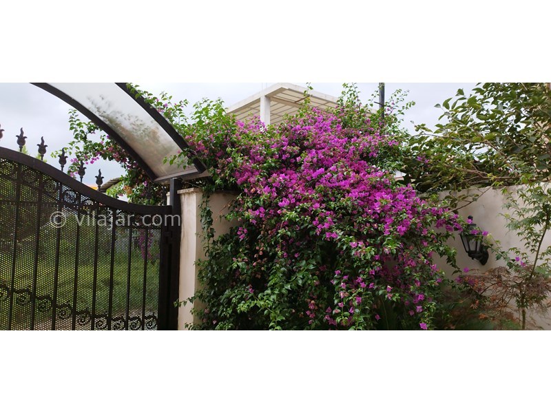 عکس شماره 744925 - اجاره آپارتمان در رامسر - 