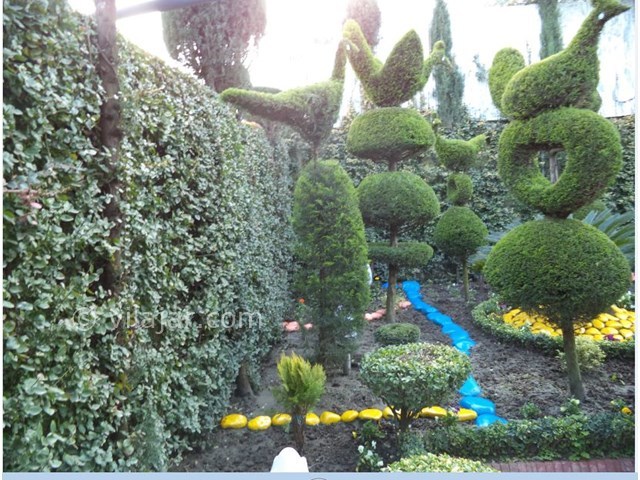 عکس شماره 7453 - ویلا دربستی ساحلی در رامسر - 